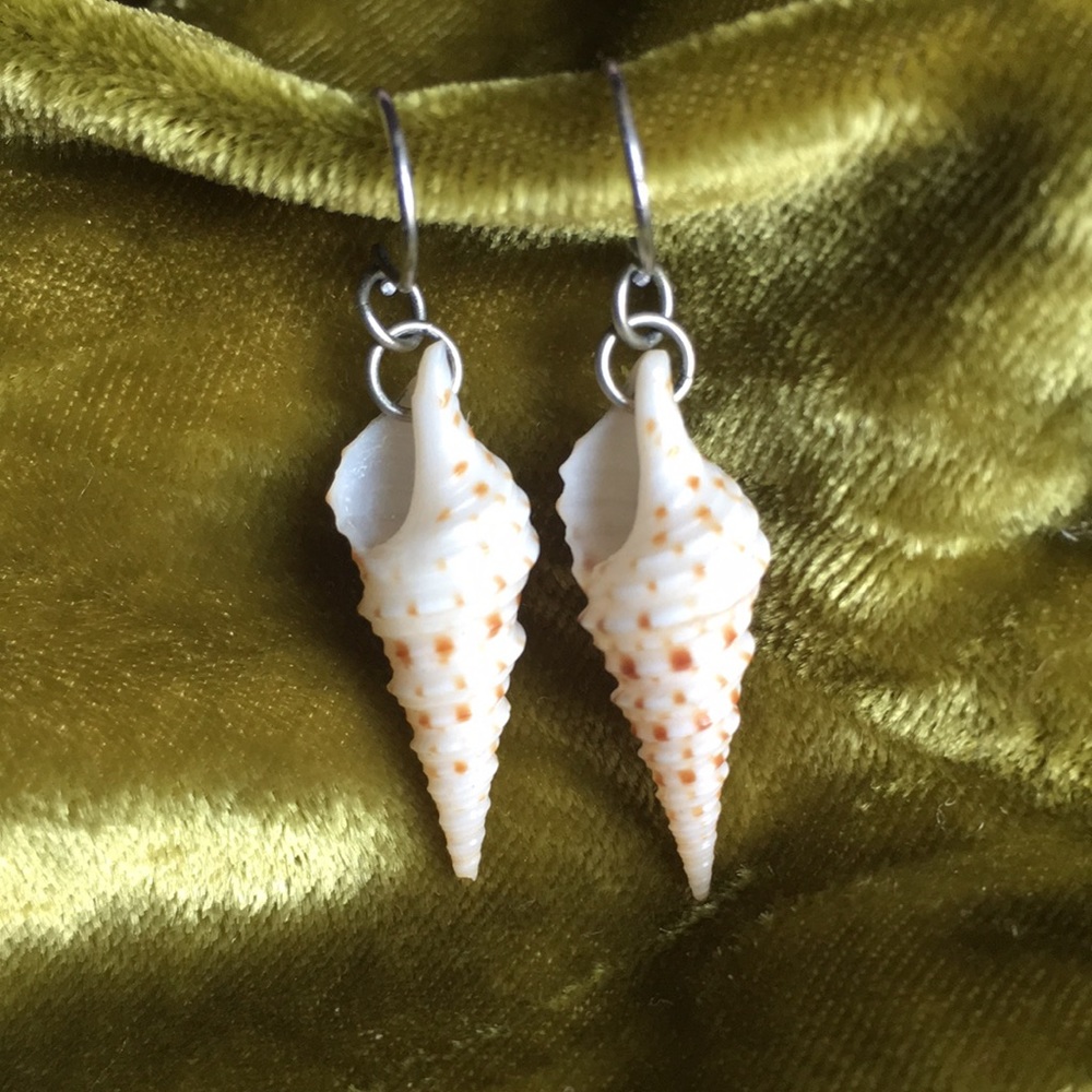 Seashell Earrings